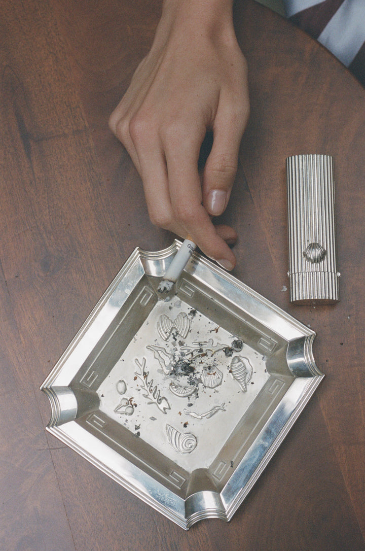 Shell Lighter Case